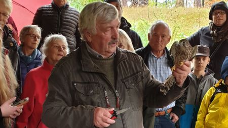 Auswilderung von Greifvögeln