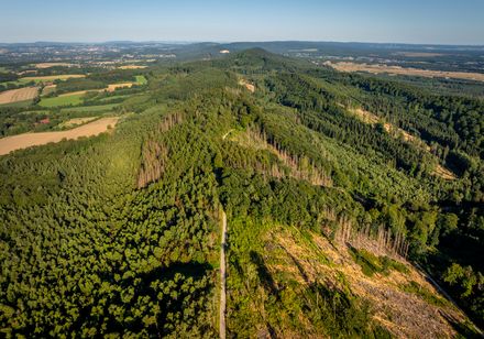 Luftaufnahme Höhenzug Teutoburger Wald in Oerlinghausen