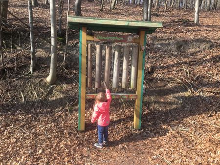 Dendrophom auf dem Naturerlebnispfad am Schildberg