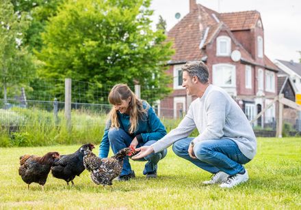 Zwei Personen füttern Hühner