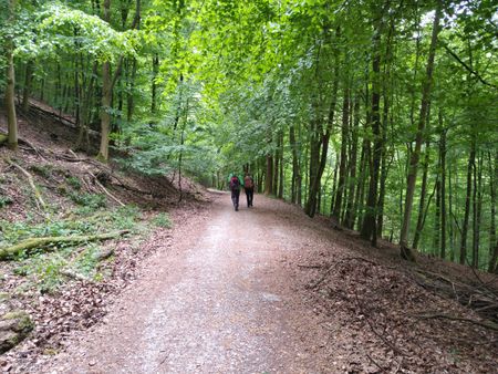 Zwei Wanderer auf dem Weg zum Hermann