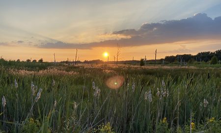 Sonnenuntergang über dem Großen Torfmoor in Hille