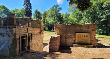 Ruinen einer alten Burganlage umgeben von dichten Bäumen, Überreste aus Stein und Backstein.
