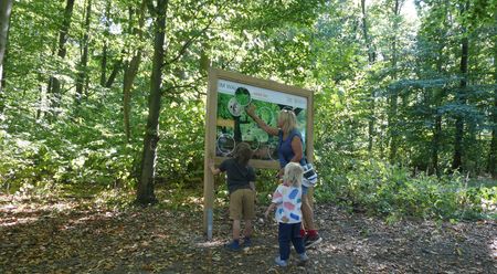 Eine Frau mit zwei Kindern betrachtet ein Informationsschild im grünen Wald am Paderborner Höhenweg.