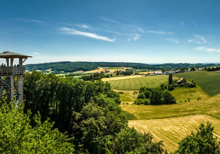Ein hölzerner Aussichtsturm ragt aus einem dichten Wald hervor, umgeben von weitläufigen Feldern.