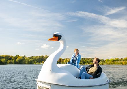 Ein Paar fährt bei sonnigem Wetter mit einem Tretboot in Schwanenform auf einem ruhigen See.