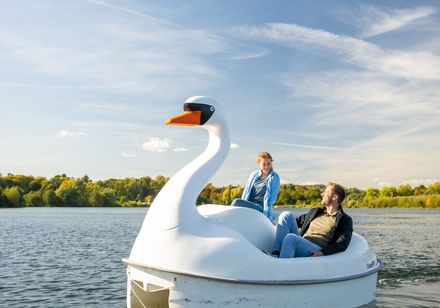 Ein Paar fährt bei sonnigem Wetter mit einem Tretboot in Schwanenform auf einem ruhigen See.