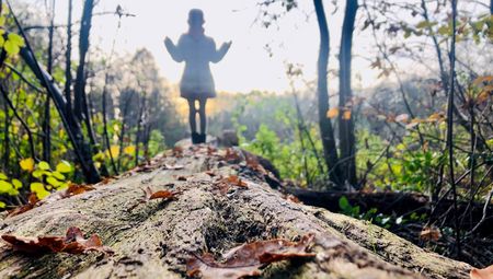 Erlebnispfad Holter Wald in Schloß Holte-Stukenbrock