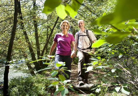 Wandern im Grünen im Teutoburger Wald, Foto: A. Hub 
