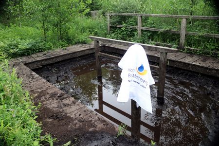 Moortretbecken am Stinkebrink Horn-Bad Meinberg