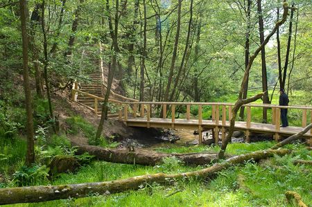 Blick auf die Emsquellen