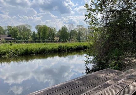 Blick von der Steganlage auf die Ems