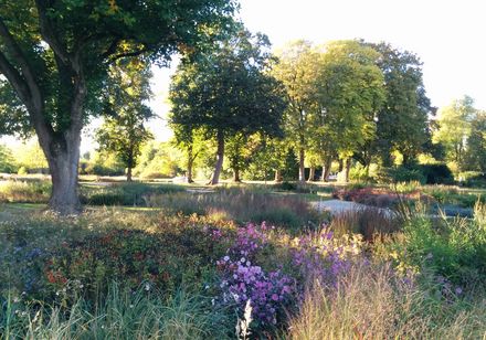 Blick auf den Piet Oudolf Garten im Gräflichen Park Bad Driburg