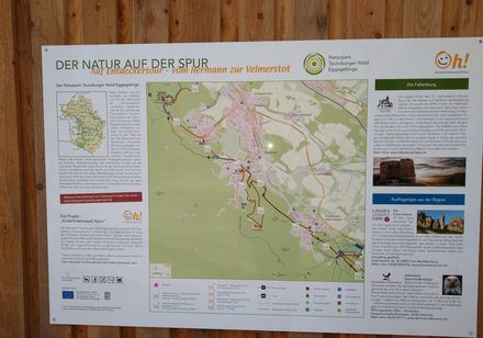 Frühwanderung zur Falkenburg