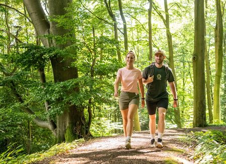 Zwei Wanderer gehen durch den Wald