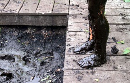 Moorbeine nach einem Gang durch das Moortretbecken in Hon-Bad Meinberg