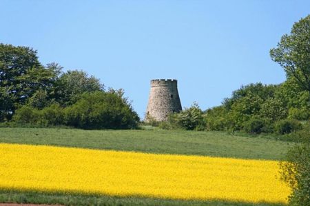 Windmühlenstumpf in Barntrup, Foto: Stadt Barntrup