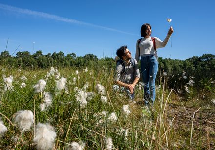 Ein Paar genießt eine Wanderung in einer blühenden Heidelandschaft unter strahlend blauem Himmel.