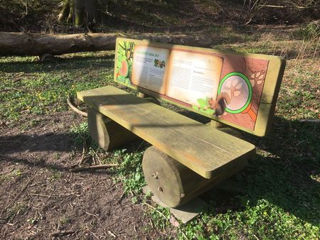 Bankrückenschild "Wer kratzt denn da"