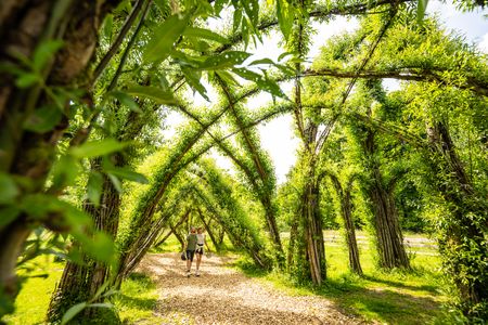 Zwei Personen im Weidenpalais Rheder