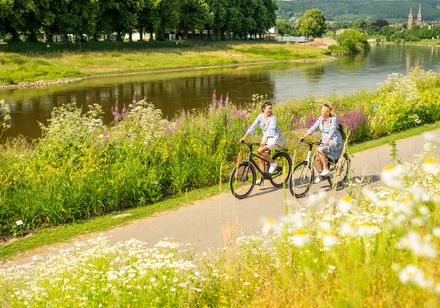 Radfahrerinnen auf dem Weserradweg 
