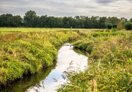 Bach fließt zwischen grünen Feldern