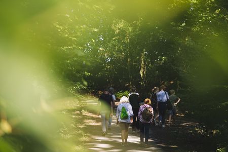 Gruppe beim Waldbaden im Siekertal 