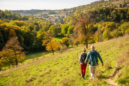 Paar geht über Feld, im Hintergrund herbstlicher Wald