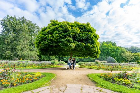 Baum im Botanischen Garten Gütersloh