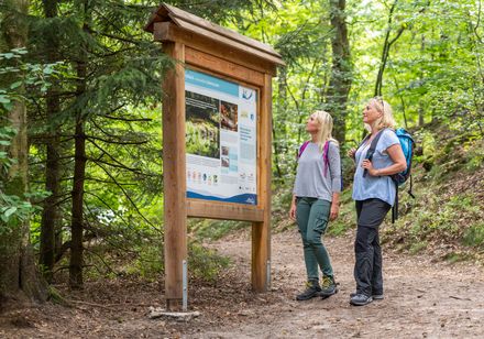Zwei Frauen in Wanderausrüstung betrachten eine Informationstafel im Wald auf einem Wanderweg.