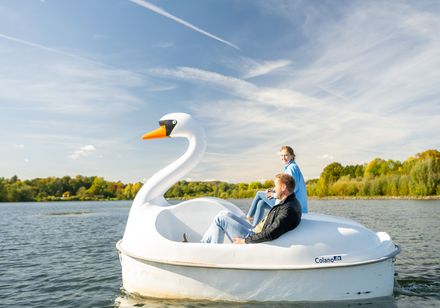 Zwei Personen auf Schwan-Tretboot auf dem SchiederSee