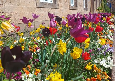 Buntes Blumenbeet im Frühling im Gräflichen Park