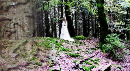 Eine weiße Figur steht geheimnisvoll im moosbedeckten Wald, umgeben von schattigen Bäumen.