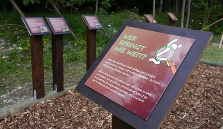 Tafeln im Wald informieren über einen Wettbewerb zur Weite von Sprüngen auf einem mit Rindenmulch bedeckten Boden.