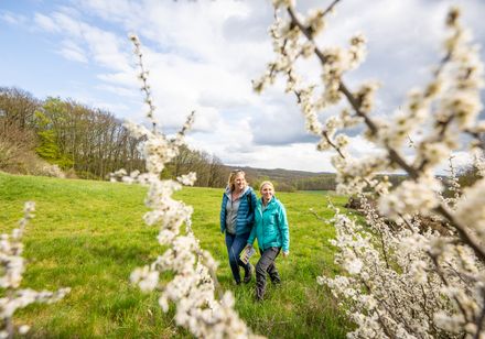 Ein Paar genießt den Frühling auf einer grünen Wiese, umgeben von blühenden weißen Zweigen.