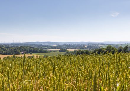 Aussicht über ein weites, grünes Feld in Marienmünster, umgeben von sanften Hügeln bei klarem Himmel.
