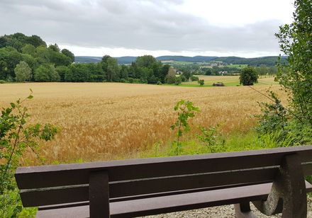 Eine Bank am Wegesrand lädt zu einer Pause ein