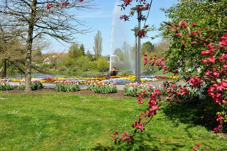 Blick auf den Emssee und den Garten davor