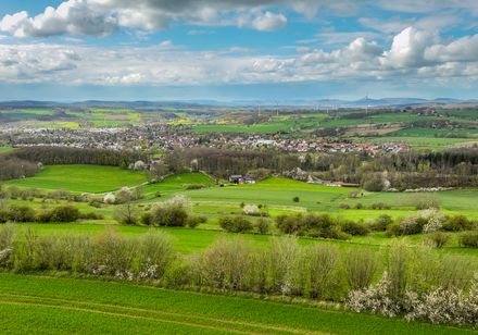 Weite grüne Landschaft mit Streusiedlungen, umgeben von blühenden Bäumen unter teils bewölktem Himmel.
