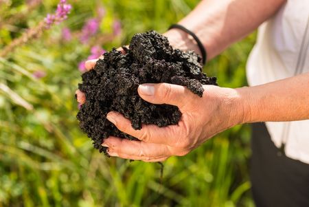 Moorschlamm in Horn-Bad Meinberg - Foto: D. Ketz