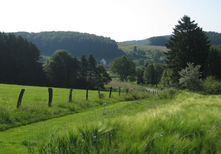 Dörentrup im Land des Hermann | Teutoburger Wald