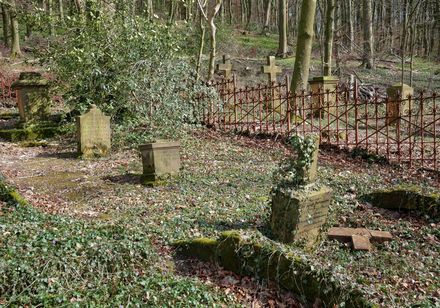 alte Gräber dicht bewachsen