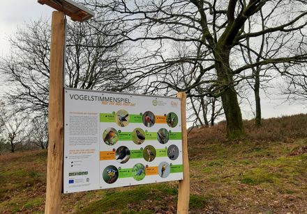 Eine Tafel zum Erkennen von Vogelstimmen 