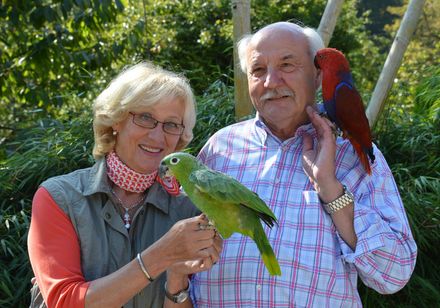 Papageien im Vogelpark Heiligenkirchen bei Detmold