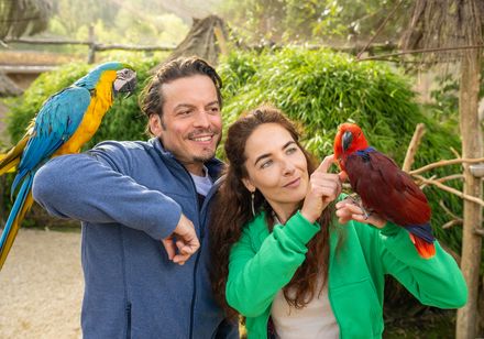 Mann und Frau lächeln mit bunten Papageien auf den Armen in freundlicher, natürlicher Umgebung.