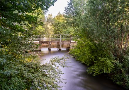 Eine ruhige Flusslandschaft mit dichter Vegetation und einem kleinen Wehr im Hintergrund.