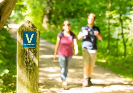 Zwei Wanderer auf einem sonnigen Waldweg, im Vordergrund ein Wegweiser der VitalWanderWelt.