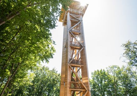 Holzturm im Wald mit strahlender Sonne durch Bäume, Besucher betrachtet die Umgebung.