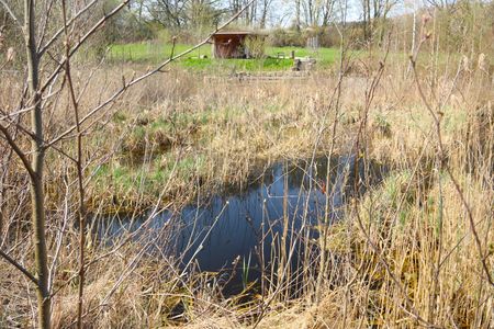 Moorgebiet Stinkebrink in Horn-Bad Meinberg 