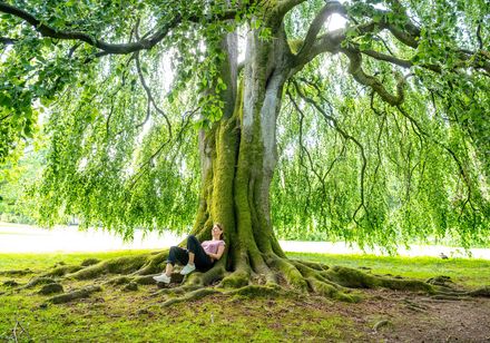 Frau entspannt unter Baum